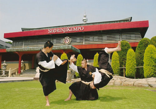 Shorinji Kempo-utövare som tränar par-teknik
